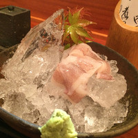 銀平 北新地店 - けんさきいかお造り