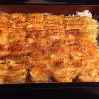 五代目 野田岩 麻布飯倉本店 - 天然鰻アップ
