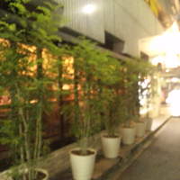 みやび 六本木店 - みやび　１