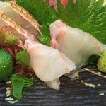 まるさ - 石垣のお魚です。
