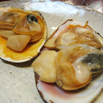 焼貝うぐいす - 白貝の焼き物
