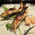 くろぎ - 琵琶湖の稚鮎2015.7