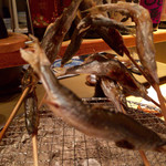 味野里香 - H27.07.25 稚鮎炭火焼き