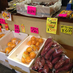 まぐろ丼　加一 - 