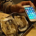 貝鮮建設港魚 - iPhoneくらい大きい岩牡蠣
