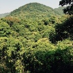 山水客 - 日蔭の席の景色