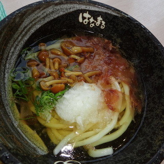 はなまるうどん イトーヨーカドー東大和店