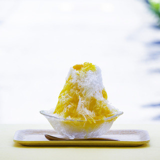 神楽坂 果のか_2