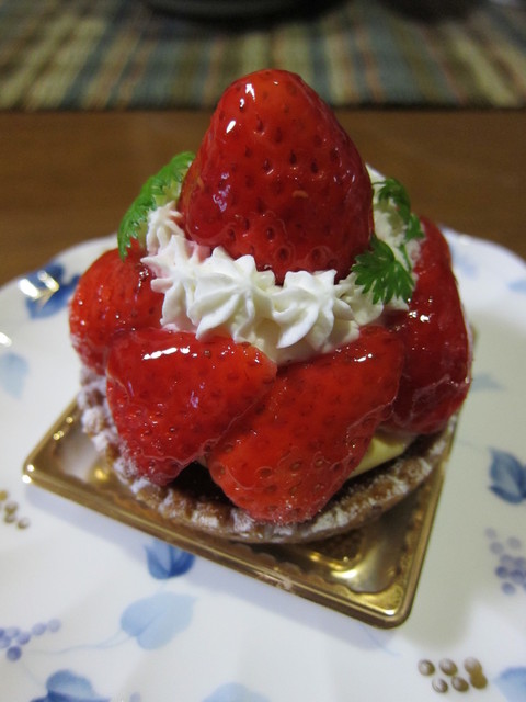 くるみの木 くるみのき 舞松原 ケーキ 食べログ くるみの木 くるみのき 舞松原 ケーキ 食べログ
