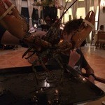 Avenue Steak & Lobster - 活ロブスター