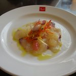 本日の鮮魚のサラダ仕立て～柑橘系のジュレを添えて～