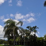 Haleiwa Joe’s Seafood Grill - 外観