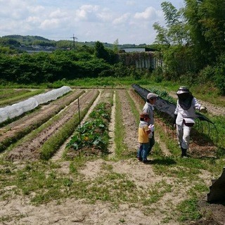 無農薬の野菜や漁港直送の新鮮な魚介類