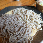 そば切 雨耕庵 - 2015.7　2色もり￥700（税込）