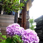 そば切 雨耕庵 - 2015.7　紫陽花が咲く玄関