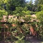 osteriacenote - 2015年7月：緑に囲まれた静かなお店です