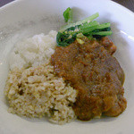 晴れ屋 - スパイシーチキンカレー