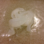 うを徳 - 葉山産障泥烏賊