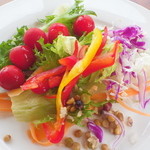 大地のテラス - 岩見沢近郊の夏野菜のサラダ（盛り付けzin)