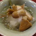 わらび野 - 虚無僧茸（こむそうたけ）