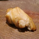 鮨 さいとう - 2015/7あなご