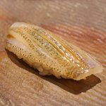 鮨 さいとう - 2015/7きす