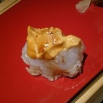 鮨 惣五郎 - いか赤雲丹