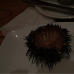 UOKIN PICCOLO 銀座店 - 生雲丹（中食われたあとw）