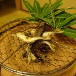 淡悦 - 鮎　２０１５年７月