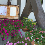 東福寺野倶楽部 - 