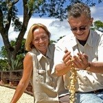 白金台珈琲 Kuromimi Lapin - 