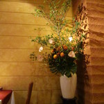 セニョール マサ - 