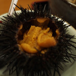 活魚ニューこのり - 