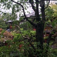 東京 芝 とうふ屋うかい - 