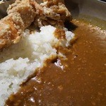 てしごとや ふくの鳥 - ランチのカレーライス（790円）