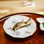 松川 - 【夏】京都桂川の鮎の塩焼き(2015.08.01)