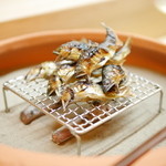 松川 - 【夏】京都桂川の鮎の塩焼き(2015.08.01)