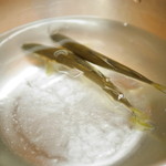 松川 - 【夏】滋賀県安曇川（あどがわ）上流で獲れた鮎の氷水の中で泳ぐ...(2015.08.01)