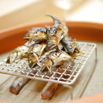 松川 - 【夏】京都桂川の鮎の塩焼き(2015.08.01)