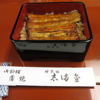 かぐら坂 志満金 - うな重