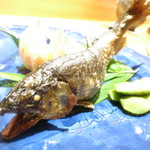 鉢肴　四万十川の天然鮎　茶豆と鬼灯