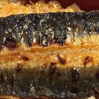 明神下 神田川 本店 - うなぎ皮目