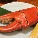 ふじ木 - のこぎりガザミ