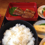 Ichikawa - 御飯と鰻♪