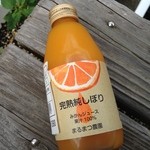 Michinoekisampinnakatsu - 完熟純しぼり みかんジュース 200ml 390円(税込)