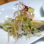 ドディチ・マッジョ - 