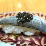 ドディチ・マッジョ - 