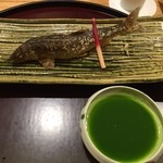 日本料理 太月 - 郡上の鮎塩焼
      
