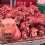 Hanuri - コラーゲンの宝庫豚足！！私がガキの頃冷蔵庫の中には必ず豚の頭が丸ごと入ってました。美味しいですよ。