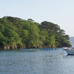 Tobi Ume - 三陸の海は元気です！